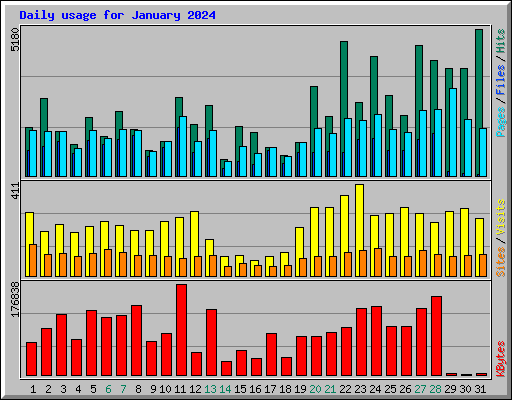 Daily usage for January 2024