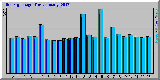 Hourly usage for January 2017