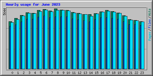 Hourly usage for June 2023