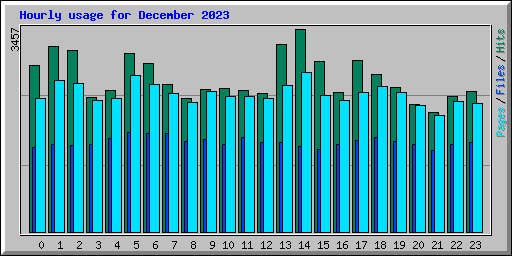 Hourly usage for December 2023