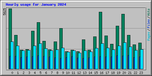 Hourly usage for January 2024