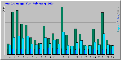 Hourly usage for February 2024